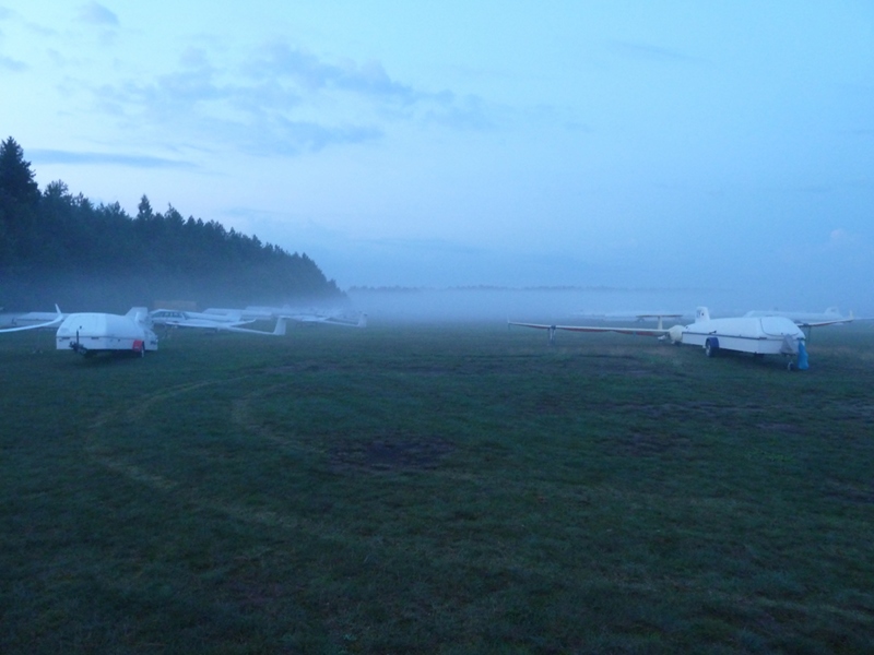 Evening gliders in the mist